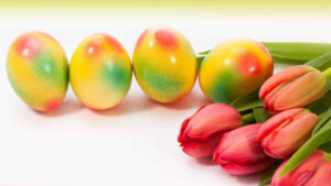 Diese vier gelben Ostereier wurden mit Hilfe einer Airbrush-Pistole mit Rot und Grün verziert. Die lachsfarbenen Tulpen passen perfekt dazu.