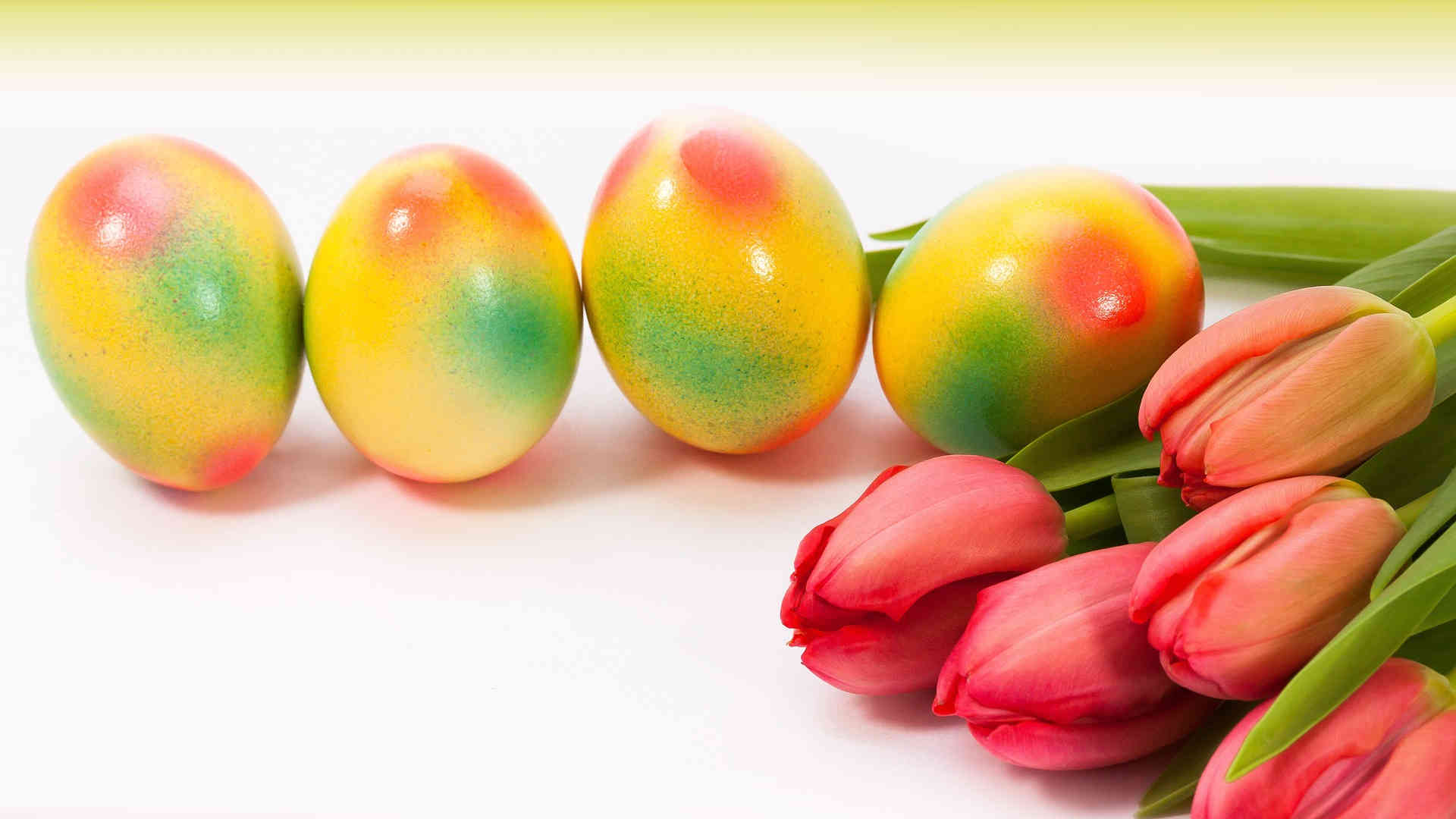 Diese vier gelben Ostereier wurden mit Hilfe einer Airbrush-Pistole mit Rot und Grün verziert. Die lachsfarbenen Tulpen passen perfekt dazu.