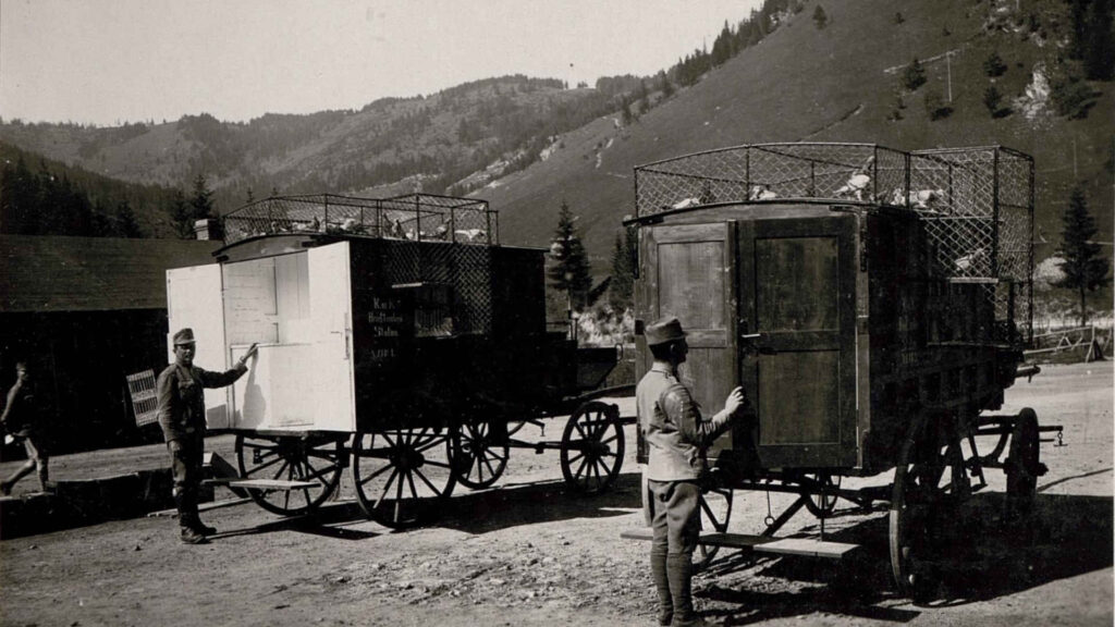 Brieftauben – Dies ist eine Brieftaubenstation, wie sie im Ersten Weltkrieg verwendet wurde.