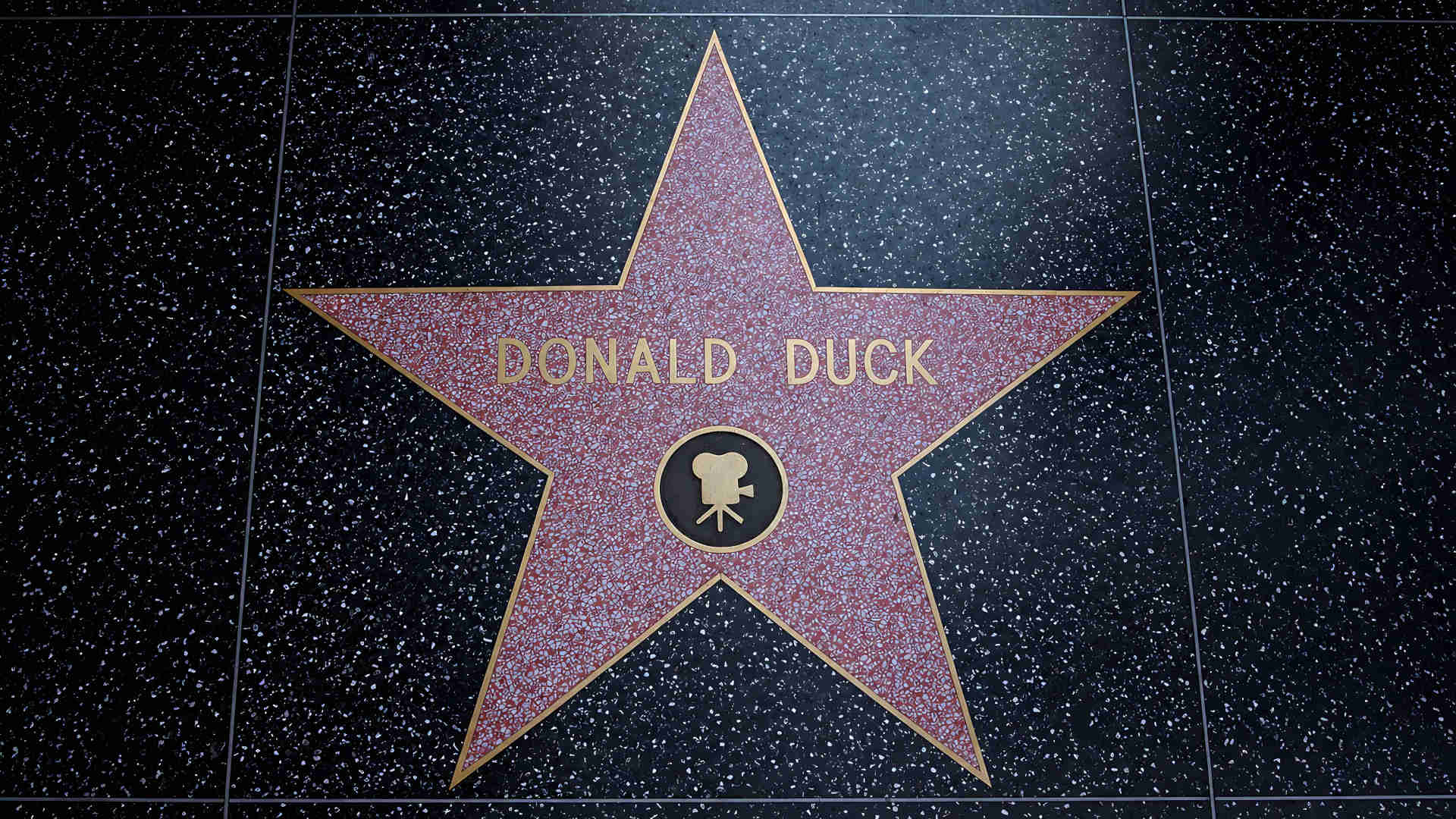Donaldist – Donald Duck ist auf dem Walk of Fame verewigt.