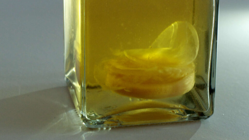 Essig herstellen – Eine Essigmutter im Glas zur Aufbewahrung.