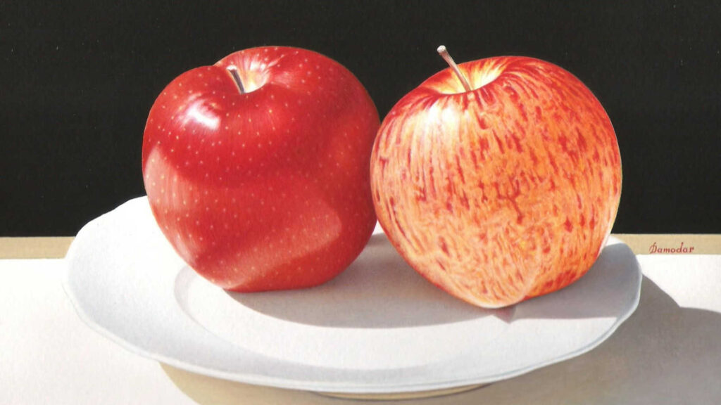Temperamalerei – Eine Arbeit von Damodar Lal Gurjar: Two Apples. Verwendet wurde Tempera auf Karton.